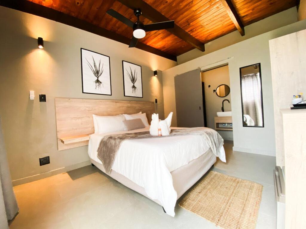 The Mole Guesthouse 斯瓦科普蒙德 外观 照片